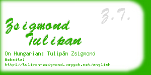 zsigmond tulipan business card